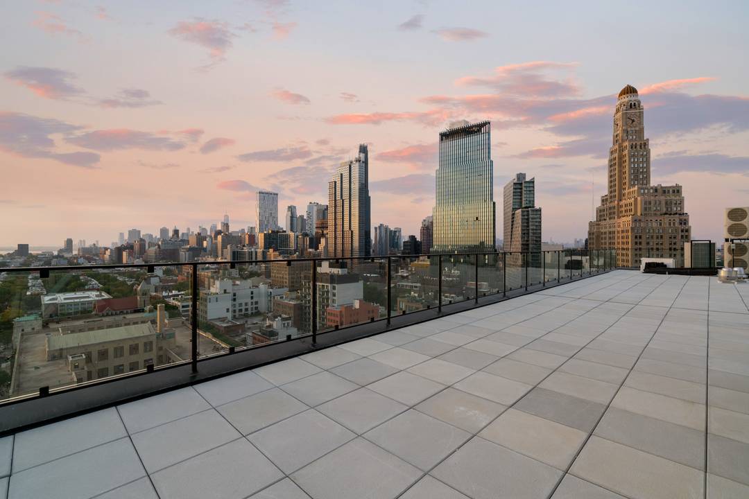 BRAND NEW, LUXURY 1 BEDROOM RENTAL WITH LOGGIA AT SIGNUM - 375 DEAN ST, BOERUM HILL, BROOKLYN