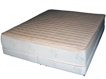 Organic vZone Latex Mattress