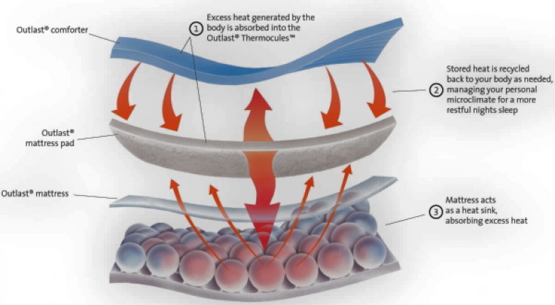 Bedding_diagram_2008